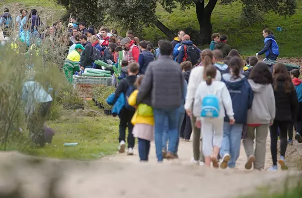 Las Rozas organiza una nueva Gran Plantación Familiar
