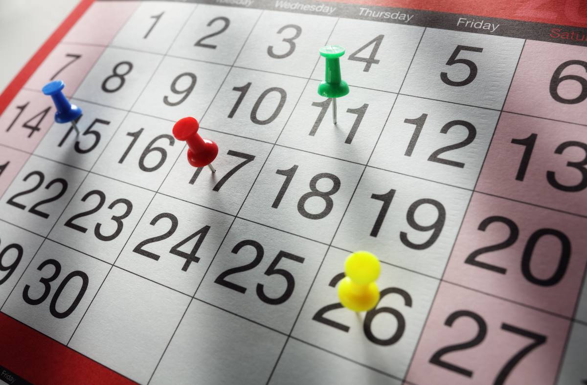 Aprobados los días festivos locales de Las Rozas para 2025: estas son las fechas
