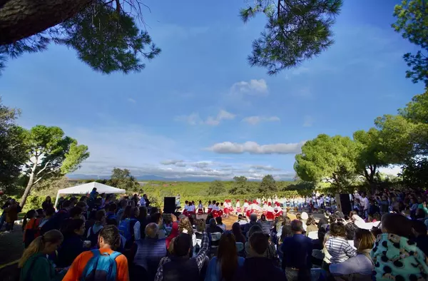 Más de 2.000 personas participaron en la Gran Plantación Familiar de Las Rozas