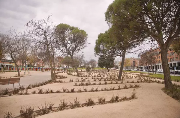 Las Rozas da un nuevo aire al bulevar Camilo José Cela: laberinto vegetal, zonas ajardinadas y espacios infantiles más diáfanos