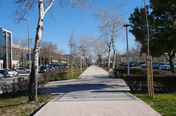 Finaliza la remodelación del bulevar de la calle Chile de Las Rozas