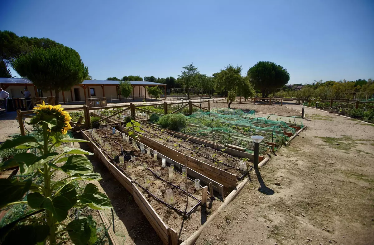 Las Rozas estrena el nuevo Programa de Educación Ambiental: propuestas gratuitas para el primer trimestre del año
