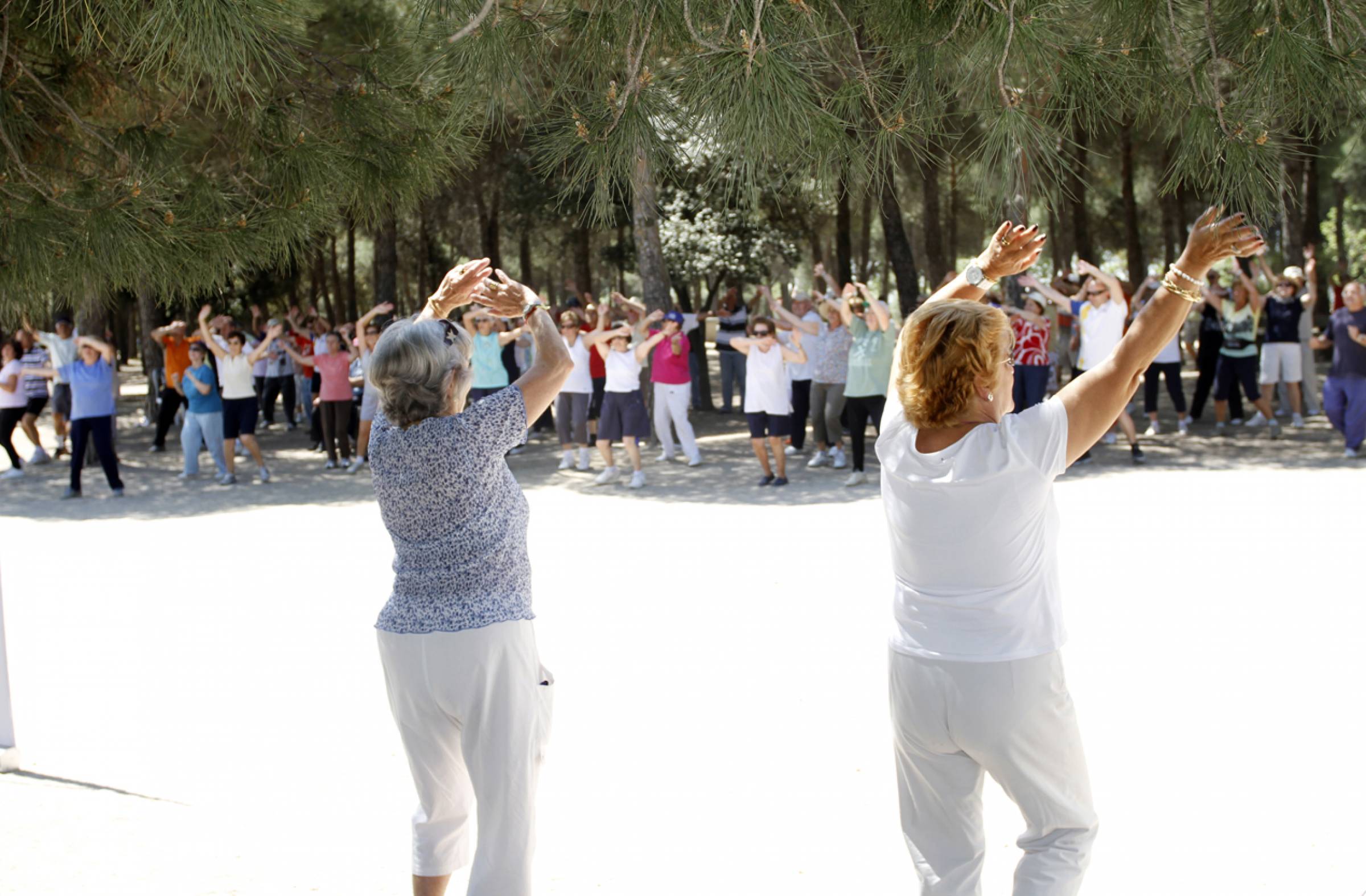 Las Rozas lanza un Grupo de Ayuda Mutua para combatir la soledad y fortalecer el bienestar emocional de los mayores