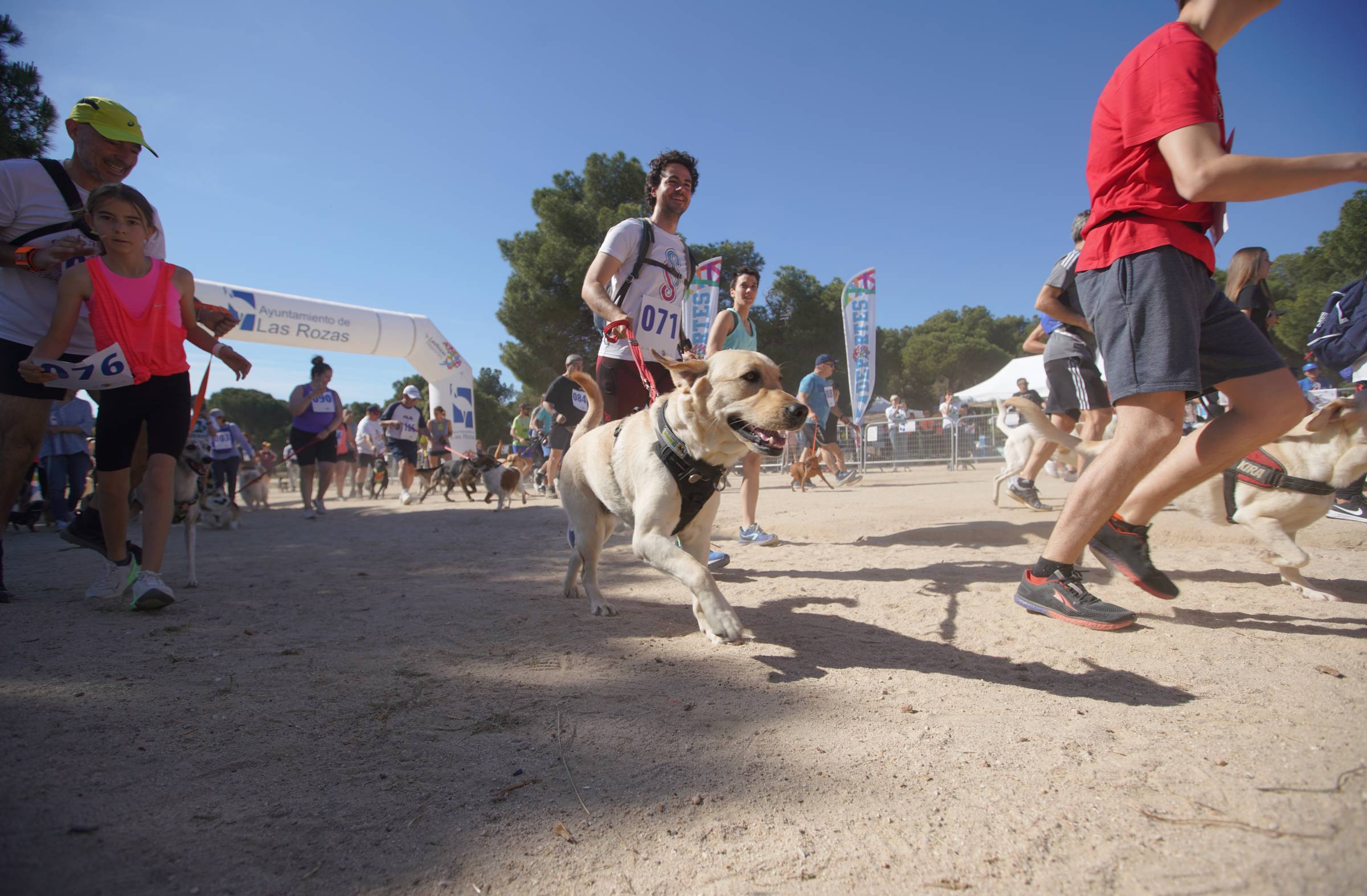 'CaniCross' vuelve a Las Rozas: la carrera no competitiva para disfrutar con nuestros perros 