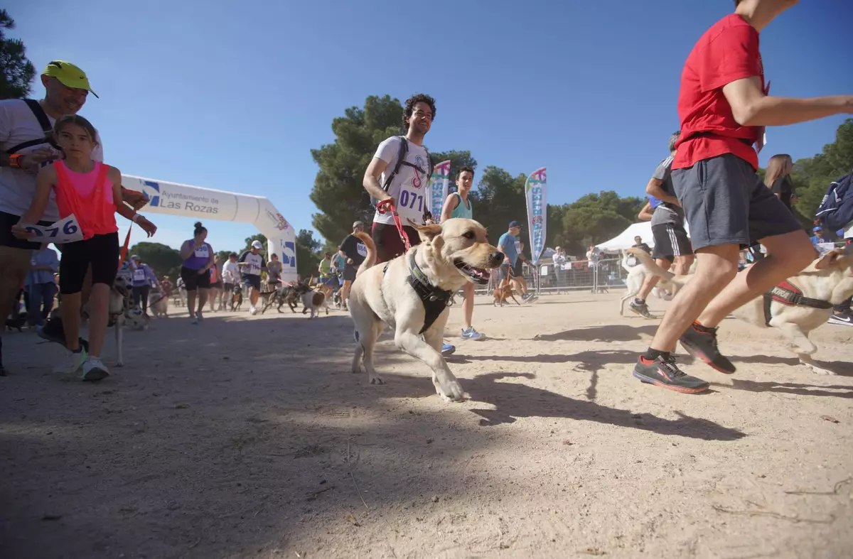 'CaniCross' vuelve a Las Rozas: la carrera no competitiva para disfrutar con nuestros perros 