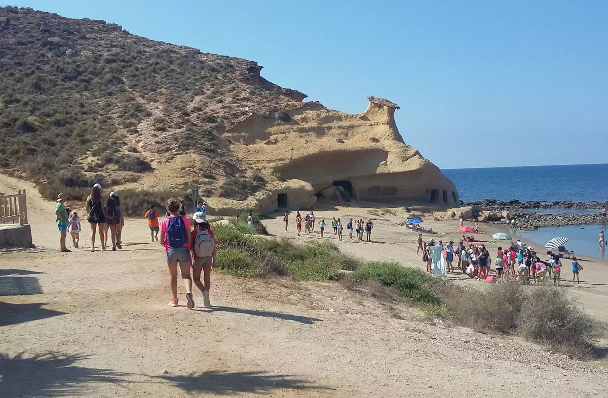 Campamentos de verano multiaventura y surf para los jóvenes de Las Rozas: se abre el plazo de preinscripción