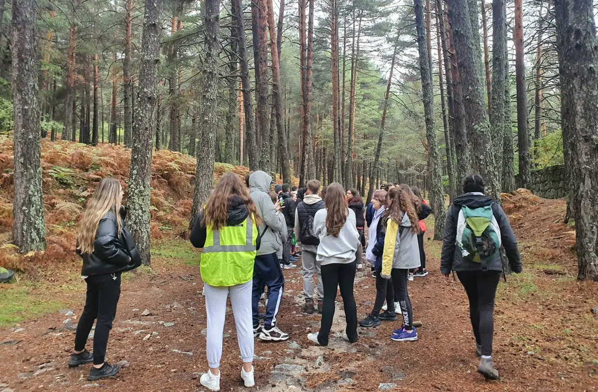 Cursos de monitor, premonitor, cocina, teatro musical: las propuestas de verano para jóvenes en Las Rozas.