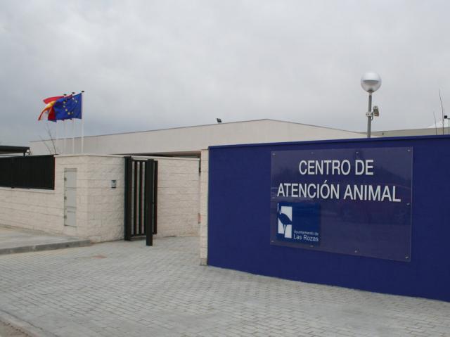 El servicio municipal de recogida de animales incrementa su servicio en verano