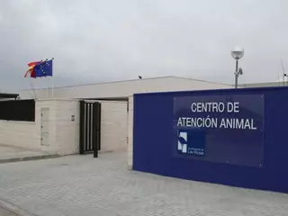 El servicio municipal de recogida de animales incrementa su servicio en verano