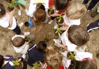 Las Rozas invita a sus centros escolares a sumarse a la Red Europea de Ecoescuelas