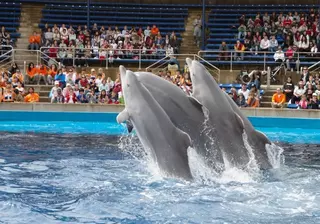 Más de 1.000 alumnos roceños celebran en el zoo el día mundial del árbol