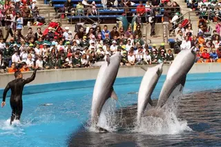 1.000 estudiantes de Las Rozas celebraron el Día del Árbol en el Zoo-Aquarium de Madrid