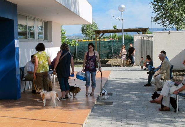 Todo preparado para la campaña de vacunación e identificación de animales domésticos