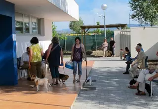 Todo preparado para la campaña de vacunación e identificación de animales domésticos