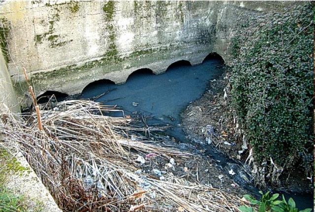 La Asociación Salvemos Las Rozas denuncia 63 vertidos fecales en Las Rozas y Torrelodones