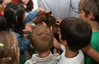 Alumnos de 4º de primaria de Las Rozas participan en el curso Cómo cuidar a tu mascota