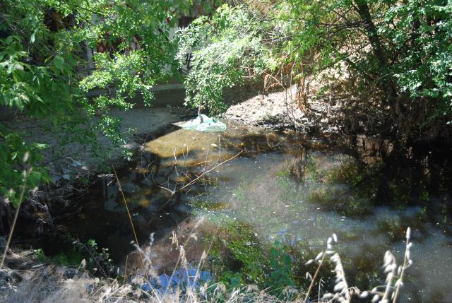 El Grupo Municipal Socialista denuncia de nuevo al Ayuntamiento por atentado ecológico