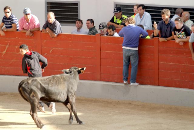 Conciertos y espectáculos taurinos componen elmenú del fin de semana de fiestas en Las Rozas