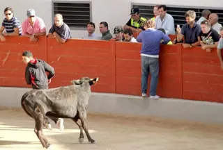 Conciertos y espectáculos taurinos componen elmenú del fin de semana de fiestas en Las Rozas