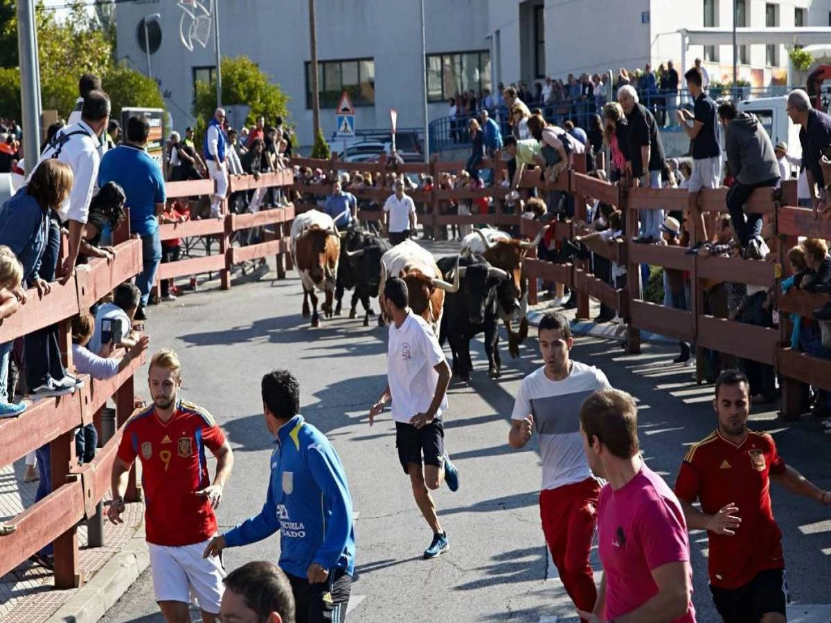 Encierros y Cierre del parking de la EMMD