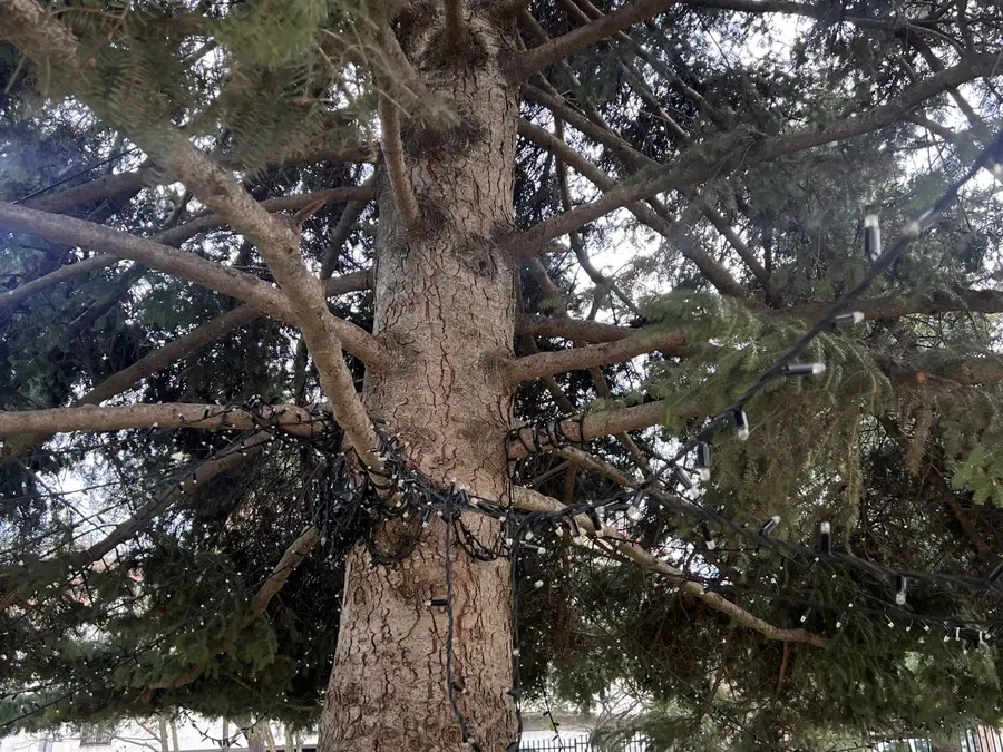 Posible riesgo: luces de Navidad aún instaladas en