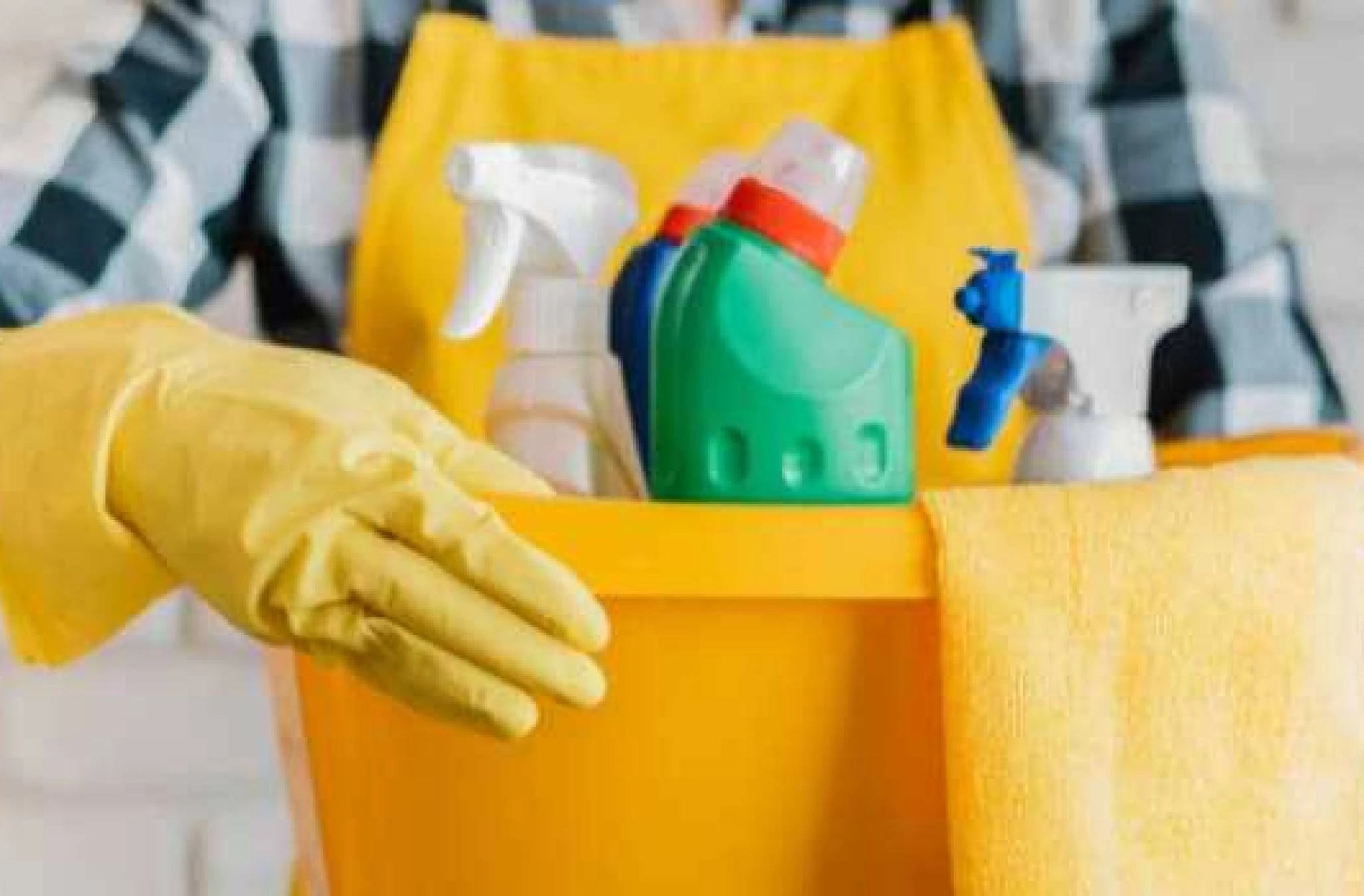 Servicios Profesionales de Limpieza y Tareas Domésticas